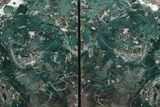 Green, Jasper Replaced Petrified Wood Bookends - Oregon #111092-2